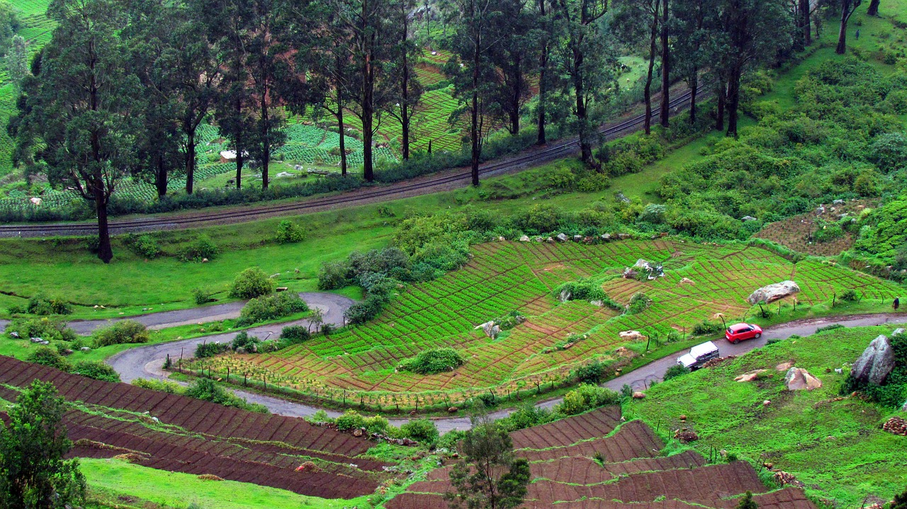 Fantastic Ooty Holiday from Bangalore (03 Nights & 04 Days)